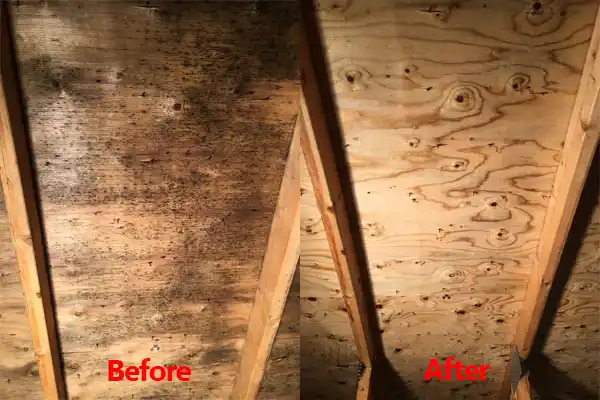 water damage restoration service Willow Springs